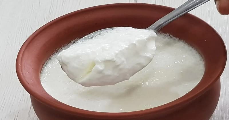 દહીંની સાથે ન ખાઓ આ 5 વસ્તુઓ, થશે ગંભીર અસર