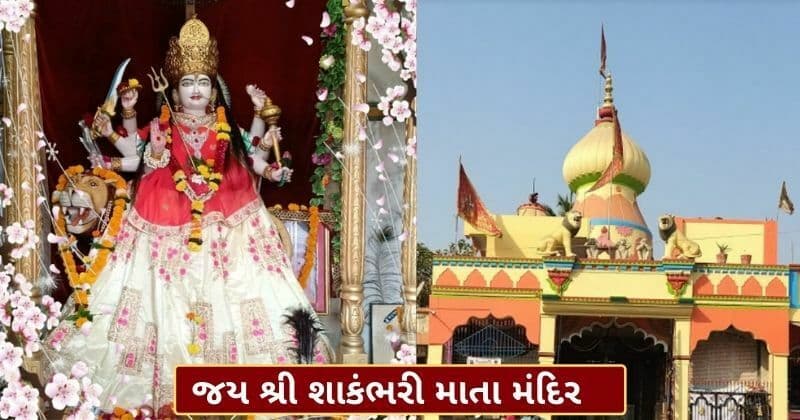 શાકંભરી નવરાત્રી વિષે તમે જાણો છો? જાણો કેવી રીતે કરવી માઁ શાકંભરીની પૂજા અને કઈ તારીખે શરૂ થાય છે આ નવરાત્રી