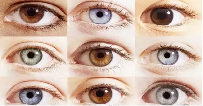 EYESHAPE