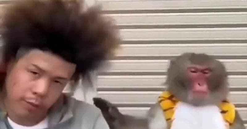 Hairstyle Of Man