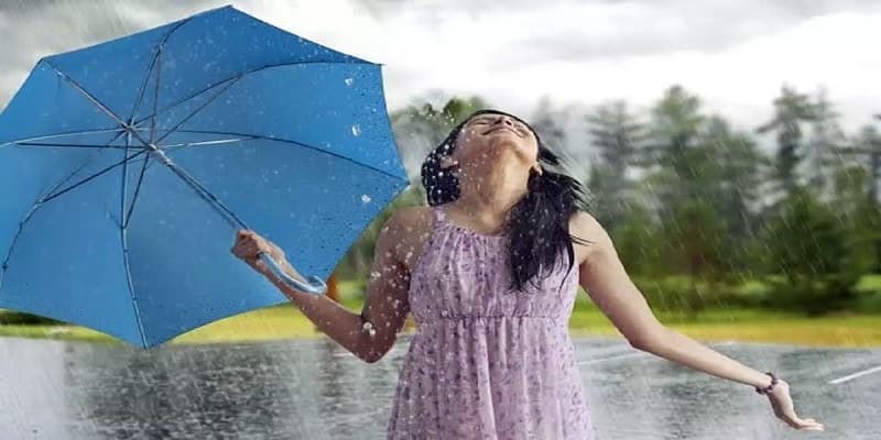 ચોમાસા આ રીતે કરો વાળની દેખભાળ 