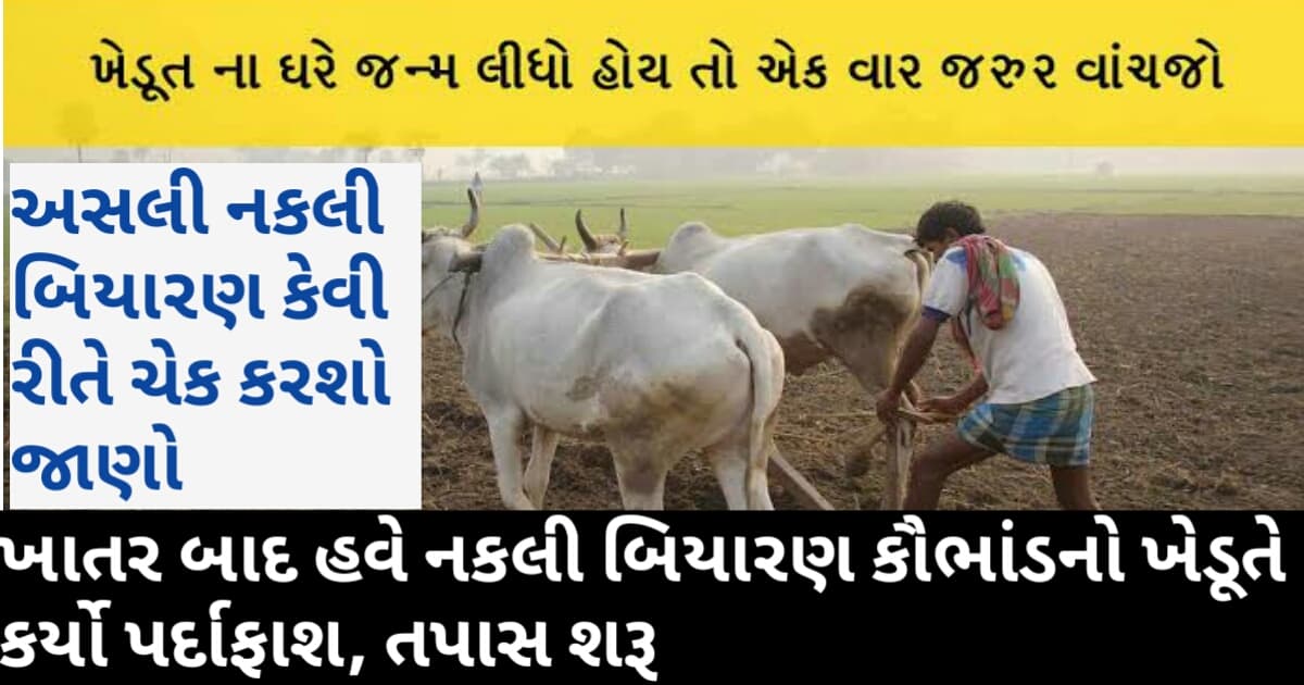 ખાતર કૌભાંડ બાદ હવે નકલી બિયારણ કૌભાંડનો ખેડૂતે કર્યો પર્દાફાશ, તપાસ શરૂ જુવો વિગતો