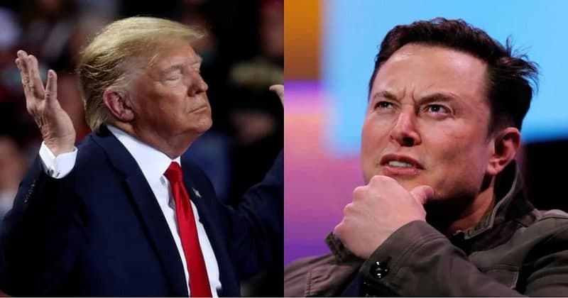 elon musk donald trump